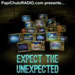 Expect The Unexpected: A Big Brother Podcast (Season 25)